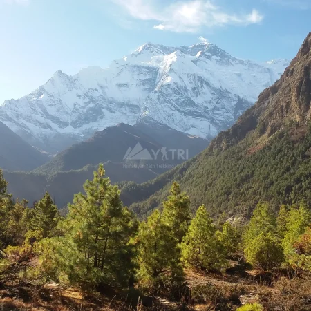 Annapurna Region