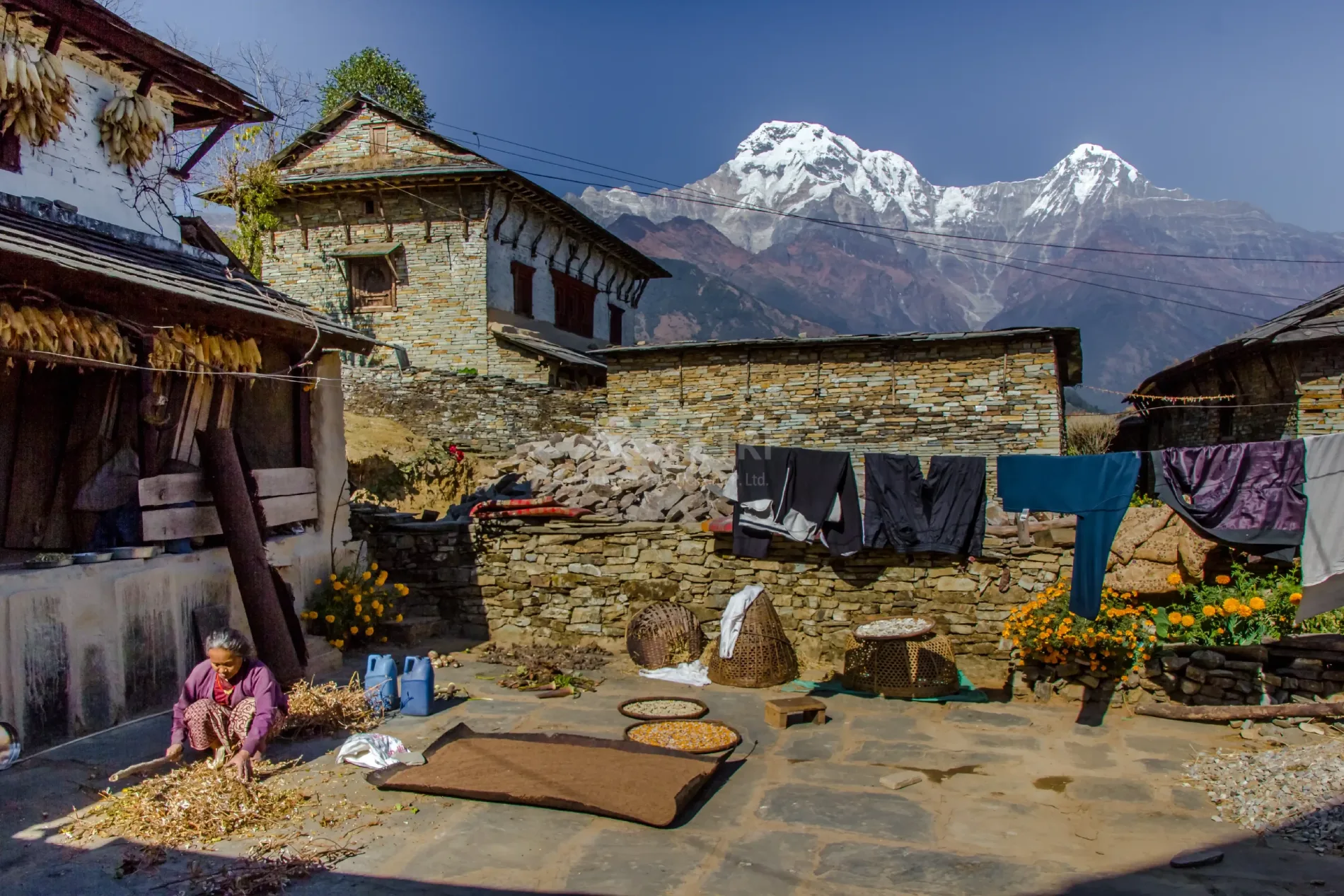 Grandma and Annapurna south and Hiunchuli on the backdrop
